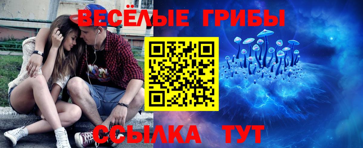 Галлюциногенные грибы прущие грибы  Галлюциногенные грибы мицелий  Вход с VPN  Кунгур 