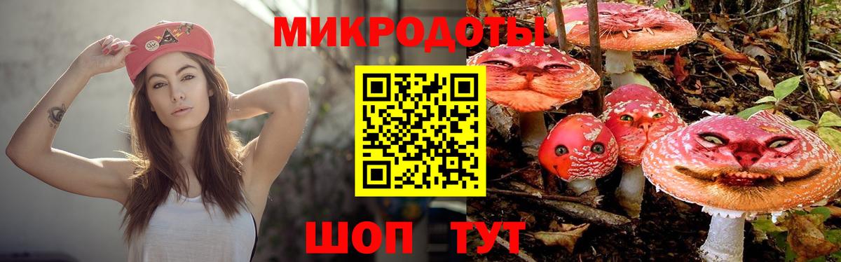 Галлюциногенные грибы Psilocybine cubensis Кунгур