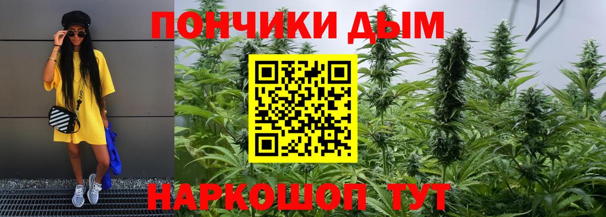 Каннабис конопля Кунгур